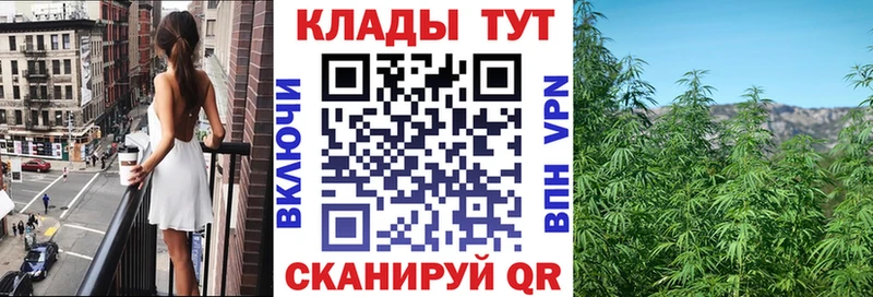 Виды наркотиков купить Шлиссельбург APVP  МЕФ  Гашиш  ссылка на мегу ONION  Cocaine  Марихуана 