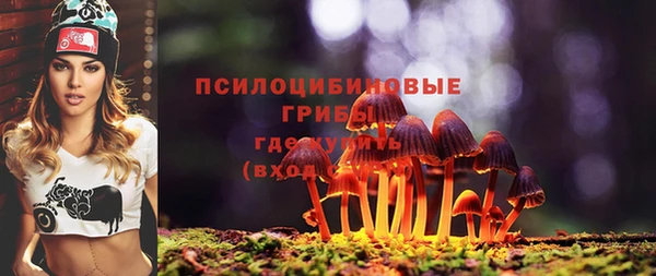 герыч Нягань