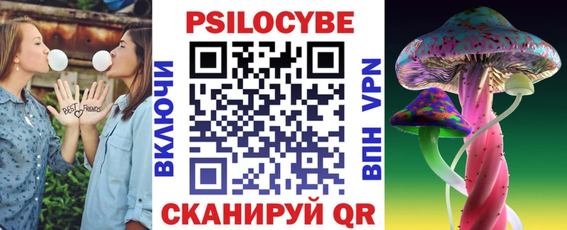 Галлюциногенные грибы Psilocybine cubensis  даркнет сайт  Шлиссельбург 